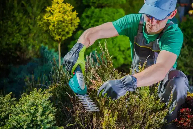 landscaping services Airmont